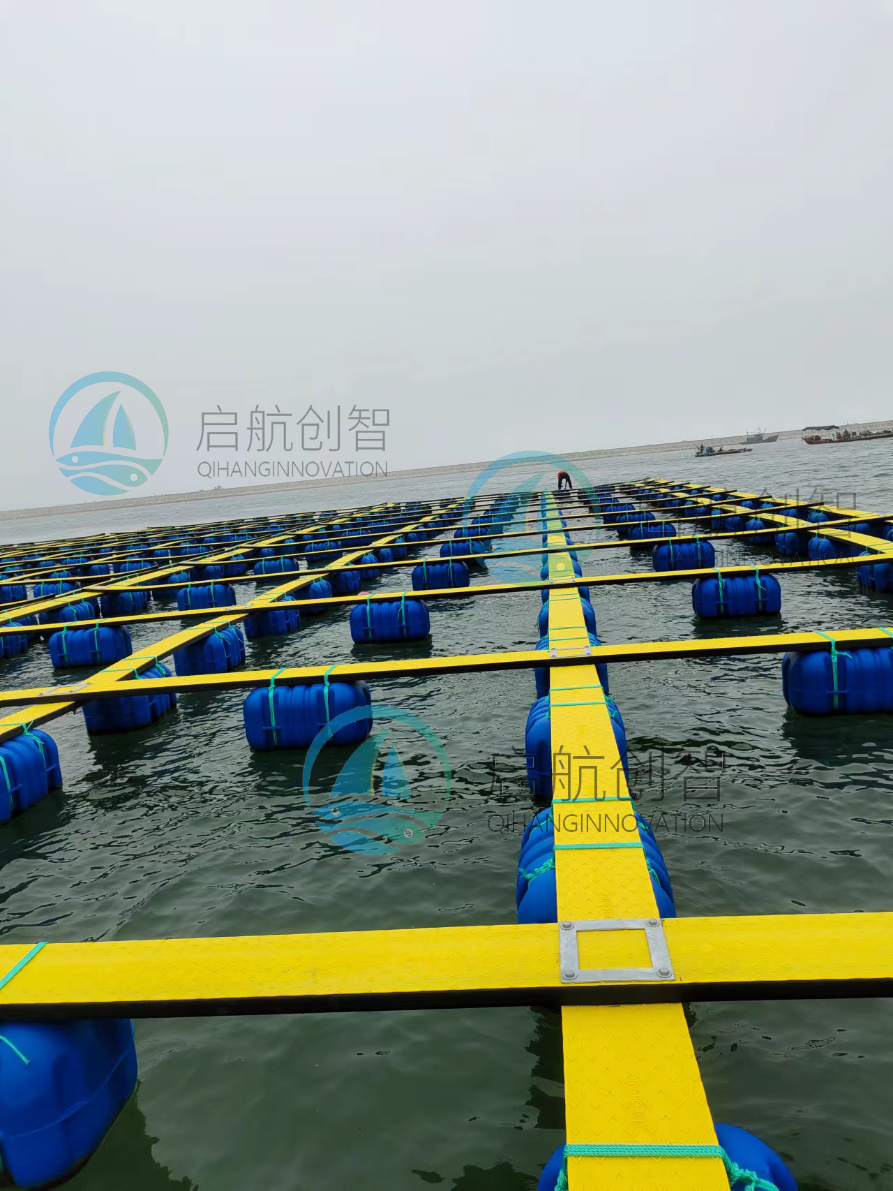 1666859974155455.jpg 大連 漁排.jpg